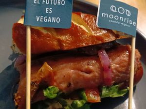 Dogode Beyond meet absolutamente delis at Moonrise Comida Vegana in Guatemala City