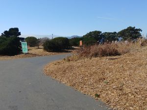 Walking away from the parking lot toward the restaurant at Cafe Franco in San Francisco