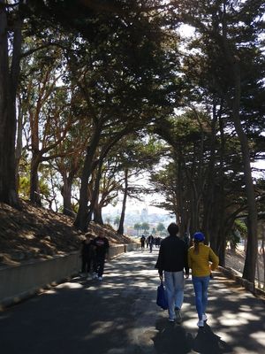 Walking path to the restaurant at Cafe Franco in San Francisco