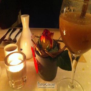 aperitif at De Levensboom in Hasselt