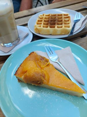 Aprikosen Käsekuchen at Cafe Küstenkind in Greifswald