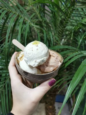 Coconut, pistachio, chocolate at Coconut Glen's in Tokyo