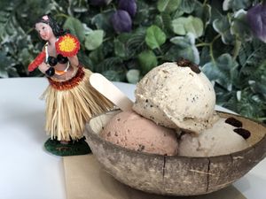 3 scoops ¥700 at Coconut Glen's in Tokyo