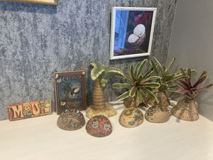 Interior decor  at Coconut Glen's in Tokyo