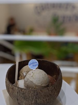 5 scoops (pistachio/original/coffee/lemongrass/chocolate-toffee) at Coconut Glen's in Tokyo