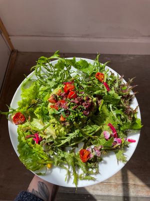 Board bean puree on rye, with tomato and black olive salsa and dressed leaves (vegan, can be made GF) at CAST Café in Helston