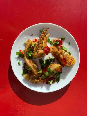 Crispy breaded fennel, chilli jam (vegan) at CAST Café in Helston