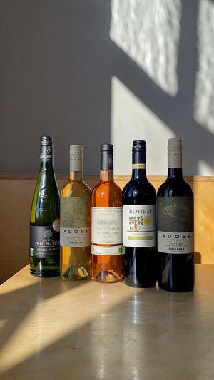 Vegan organic wines at CAST Café in Helston