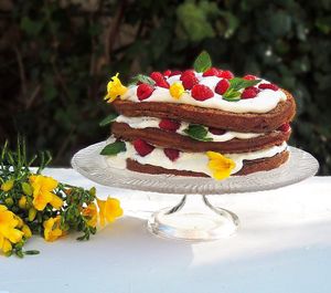 Gluten-free, Refined Sugar-free & Vegan(optional) Raspberry, Lemon & Coconut Three Layered Cake 🍋🥥🌴🍰 - i at Noor Healthy in Amman