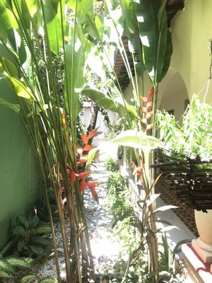 Environment  at Asharam Gad in Fortaleza