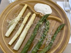 Starter   at apeti - Ségur in Paris