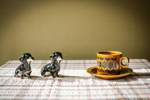 Dog Salt & Pepper at Fortify Cafe in Maidstone