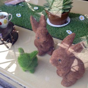 little fuzzy rabbits at Fortify Cafe in Maidstone