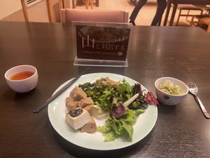 Tofu with some amazing sauce on top! Salad with delicious dressing, and beans with onions and tea!  at Goen no Mori in Yugawara
