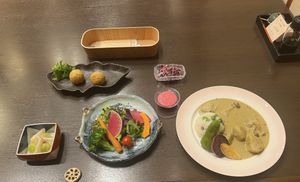 Green curry with vegetables and rice, salad, sweet potato fritter balls, fermented cabbage !  at Goen no Mori in Yugawara