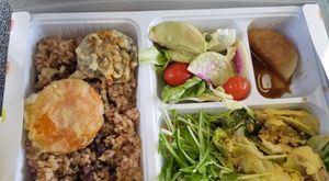 Lunch bento- shiitake mushroom and carrot fritter, enzyme brown rice, vegetable and koya dofu saute, daikon and miso "dengaku," fresh salad  at Goen no Mori in Yugawara