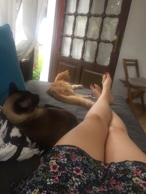 This is my new favourite holiday destination  at Casa Divina in Tenerife