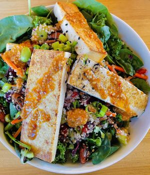 Sesame grilled tofu salad   at Veggie Grill by Next Level in Burbank