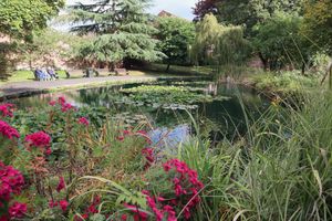 Our cafe opens out into the park, where you can take-away your favourite drinks and food. at The Garden Kitchen in Bewdley