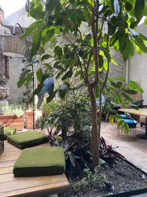 Interior 2 at Plantasia in Mexico City