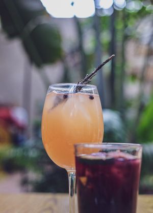 Cocktail and lemonade  at Plantasia in Mexico City