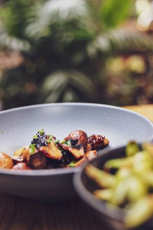 Delicous  at Plantasia in Mexico City