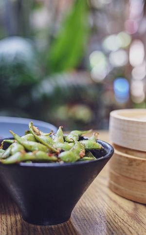 Super nice  at Plantasia in Mexico City