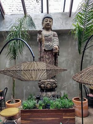 Beautiful atmosphere and ambience 💜 at Plantasia in Mexico City