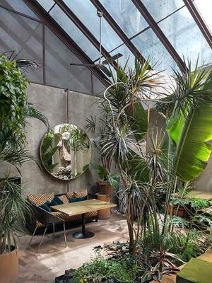 Lovely place with lots of plants at Plantasia in Mexico City