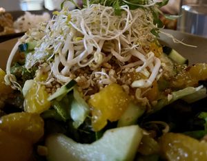 ensalada mandarín   at Plantasia in Mexico City