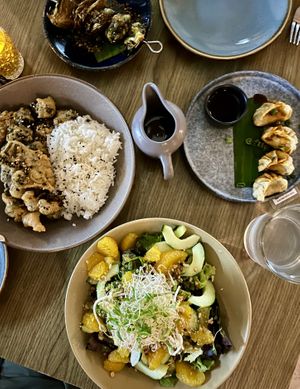 Brussels sprouts, gyoza, tempura broccoli, and mandarin salad   at Plantasia in Mexico City