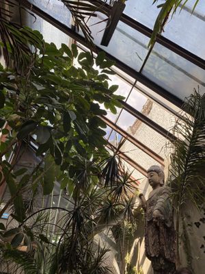 El ambiente con muchas plantas   at Plantasia in Mexico City