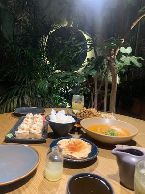   at Plantasia in Mexico City