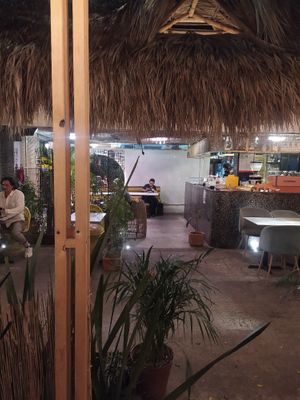  at Plantasia in Mexico City