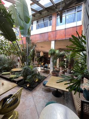   at Plantasia in Mexico City