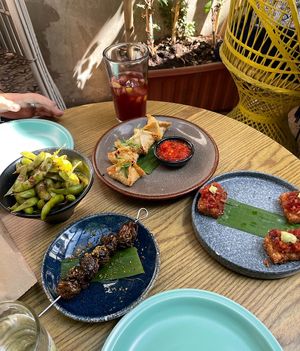   at Plantasia in Mexico City