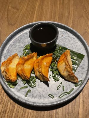 Gyozas  at Plantasia in Mexico City