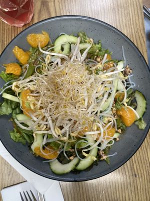   at Plantasia in Mexico City