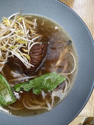   at Plantasia in Mexico City