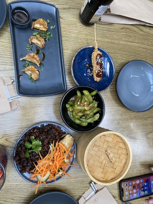   at Plantasia in Mexico City