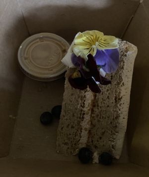   at Plantasia in Mexico City