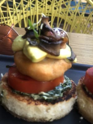   at Plantasia in Mexico City