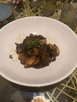   at Plantasia in Mexico City