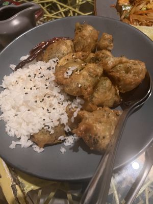   at Plantasia in Mexico City