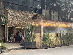   at Plantasia in Mexico City