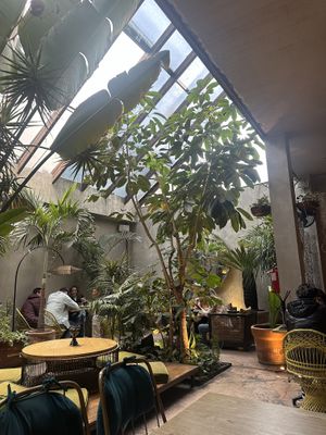 Inside  at Plantasia in Mexico City