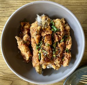 Katsudonn #Veganuary at Plantasia in Mexico City