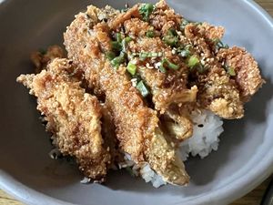 Katsudon  at Plantasia in Mexico City