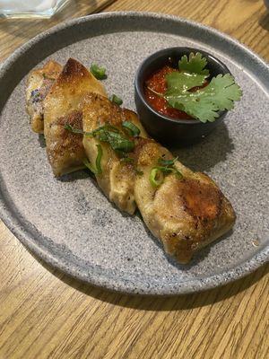 Spicy Beyond Dim Summ  at Plantasia in Mexico City