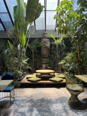   at Plantasia in Mexico City